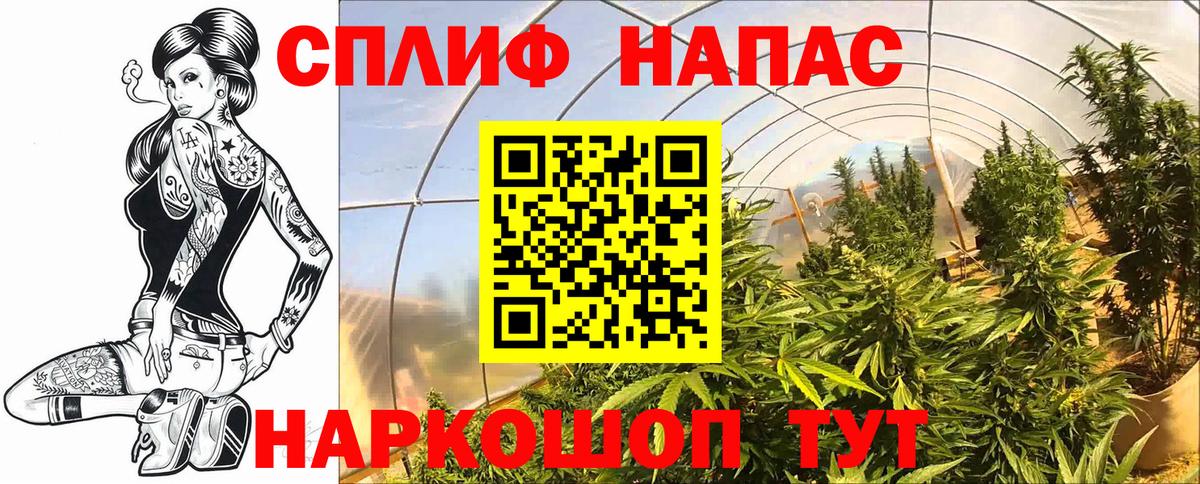 Шарыпово  Шишки марихуана VHQ  Каннабис план  Вход с VPN  Шишки марихуана конопля 